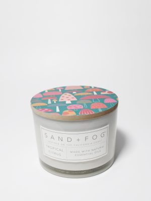 Tropical Citrus 12 oz scented candle