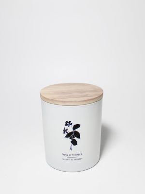 Tides of the Moon Natural Home 11.5 oz scented candle