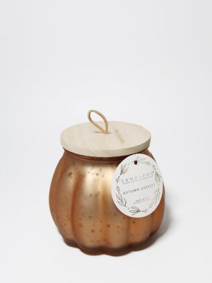 Autumn Harvest 18 oz scented candle