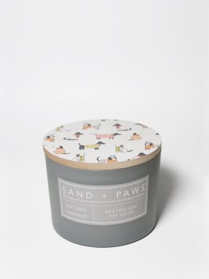 Sand + Paws Autumn Harvest 12 oz scented candle