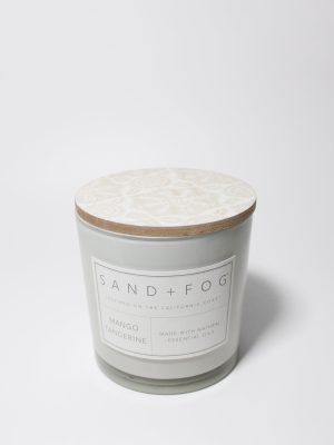 Mango Tangerine 21 oz scented candle